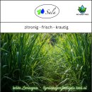 Sala Lemongrass aroma essential oil 100% pure 50 ml