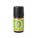 Primavera Cedar wild essential oil 5 ml