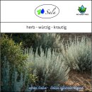 Sala Salbeiöl Aroma ätherisches Öl naturrein 50 ml