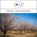 Sala Mandelöl kaltgepresst konv. 1 L 1000 ml Glasflasche