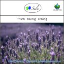 Sala Hybrid Lavender Grosso aroma essential oil 100% pure 50 ml