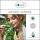 Sala Krauseminzeöl Aroma Spearmint ätherisches Öl naturrein 30 ml
