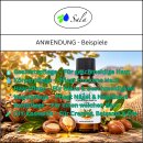 Sala Arganöl kaltgepresst ungeröstet BIO kbA 100 ml Glasflasche
