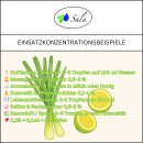 Sala Lemongrasöl Aroma ätherisches Öl naturrein 100 ml Glasflasche
