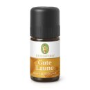 Primavera Gute Laune Duftmischung 5 ml