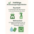 Sala Teebaumöl Wildwuchs ätherisches Öl naturrein 250 ml Glasflasche
