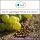 Sala Grapeseed Oil cold pressed organic 100 ml glass bottle