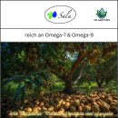 Sala Macadamianussöl kaltgepresst BIO 1 L 1000 ml Glasflasche