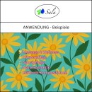 Sala Arnica Blossom Oil organic 100 ml glass bottle