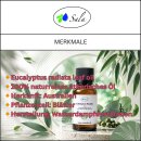 Sala Eukalyptusöl Radiata Aroma ätherisches Öl naturrein 100 ml Glasflasche