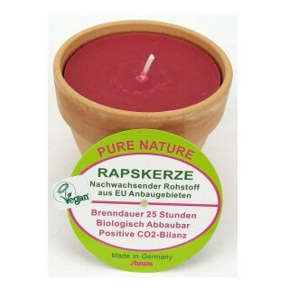 Stuwa Pure Nature Rapskerze Rot ohne Duft in Terrakotta Topf