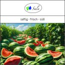 Sala Melone Duftöl Parfümöl Aromaöl 30 ml