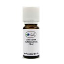 Sala Cinnamon Vanilla fragrance mix natural 10 ml