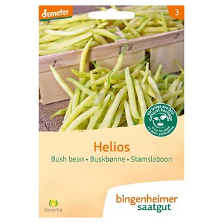 Bingenheimer Seeds Broad Bean Helios demeter organic for approx 40 plants