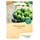 Bingenheimer Seeds Brussels Sprouts Idemar demeter organic for approx 40 plants