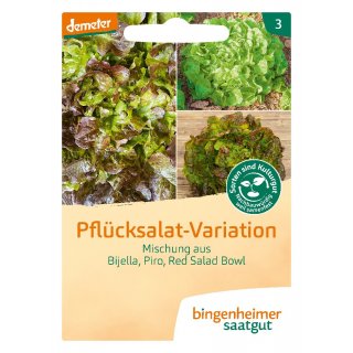 Bingenheimer Seeds Pick Salad Variation demeter organic for approx 120 plants