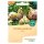 Bingenheimer Seeds Celery Root Mars demeter organic for approx 100 plants