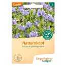 Bingenheimer Saatgut Natternkopf Echinum plantagineum...