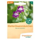 Bingenheimer Seeds Snapdragons Asarina scandes demeter...