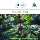 Sala Pfefferminzöl mentha arvensis ätherisches Öl naturrein 500 ml Glasflasche