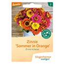 Bingenheimer Saatgut Zinnie Sommer in Orange Zinnia...