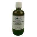 Sala Litsea Cubeba essential oil 100% pure organic 100 ml glass bottle