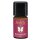 Farfalla Christmas Star Cinnamon fragrance mix 100% pure 5 ml