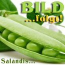 Sala Sojaöl raffiniert BIO 5 L Kanister