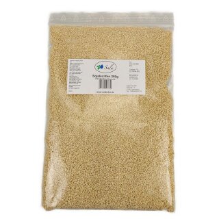 Sala Reinlecithin Sojalecithin Granulat E322 konv. 250 g Beutel
