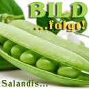 Sala Ethanol Alcohol 96,5% undenatured food grade organic 5 L 5000 ml can