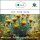 Sala Strawflower aroma essential oil 100% pure organic 10 ml