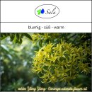 Sala Ylang Ylang I ätherisches Öl 100%...