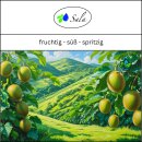 Sala Kiwi perfume oil 100 ml PET bottle