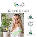 Sala Lemon Tea tree Aroma essential oil 100% pure organic 10 ml