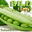 Bluegreen Multi Flora Nahrungsergänzung 60 Kapseln 17 g