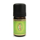 Primavera Angelica Root bio essential oil 5 ml