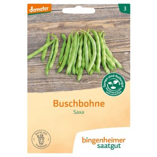 Binngenheimer Seeds Broad Bean Saxa demeer organic for approx 60 plants