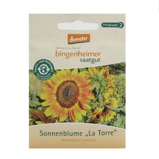 Bingenheimer Seeds Sunflower "La Torre" Helianthus annus demeter organic for approx 80 plants