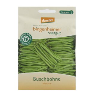 Bingenheimer Saatgut Buschbohne Marona demeter bio für ca. 50 Pflanzen
