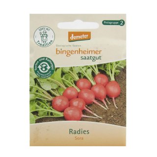 Bingenheimer Seeds Radish Sora demeter organic for approx 500 plants