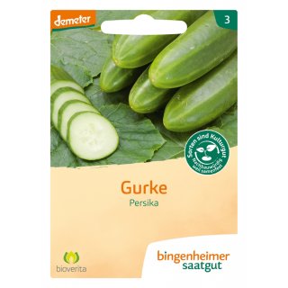 Bingenheimer Seeds Free Range Cucumber persika demeter organic for approx 15 plants