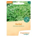 Bingenheimer Seeds Chervil Anthriscus cerefoilum demeter...