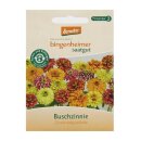 Bingenheimer Saatgut Buschzinnie Zinnia angustifolia...