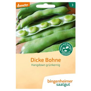 Bingenheimer Saatgut Dicke Bohne Hangdown demeter bio für 2-3 m²
