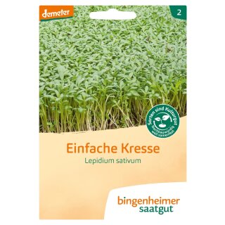 Bingenheimer Saatgut Einfache Kresse Lepidium sativum demeter bio für 4-5 m²