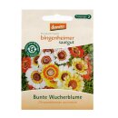 Bingenheimer Saatgut Bunte Wucherblume Chrysanthemum...