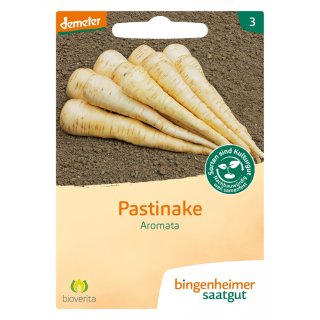 Bingenheimer Saatgut Pastinake Aromata demeter bio für 7-10 m²