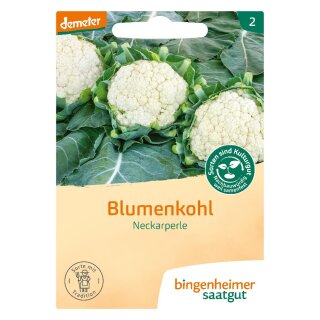 Bingenheimer Seeds Cauliflower Neckar Pearl demeter organic for approx 40 plants