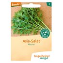 Bingenheimer Seeds Asia Salad Mizuna demeter organic for...