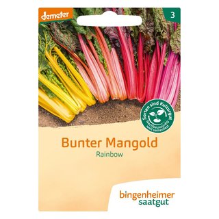 Binngenheimer Seeds Colorful Chard Rainbow demeter organic for approx 80 plants